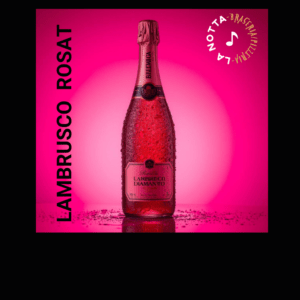 _BEGUDES LAMBRUSCO ROSAT