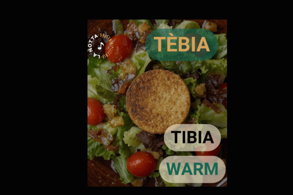 CARATULA ENSALADA TEBIA CARATULA ENSALADA TEBIA