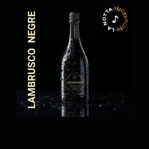 BEGUDES LAMBRUSCO NEGRE