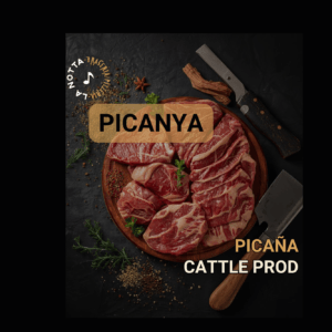 CARATULA CARNES PICAÑA