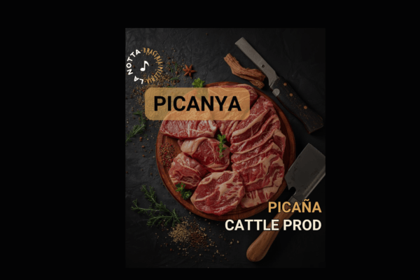 CARATULA CARNES PICAÑA CARATULA CARNES PICAÑA