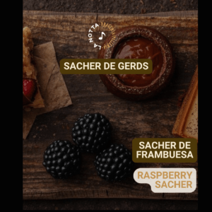 CARATULA SACHER