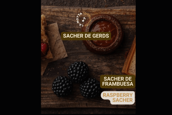 CARATULA SACHER CARATULA SACHER